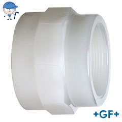 Standard adaptor socket female thread Rp pvdf